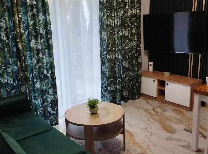 12/2 * Starogard Gdański